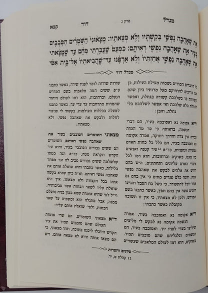 מגדל דוד - פירוש על שיר השירים / המקובל האלקי רבי דוד בן זמרא הרדב"ז זצוק"ל