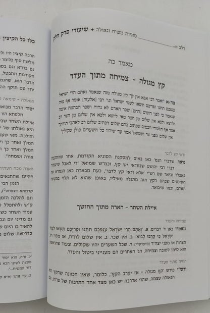 שיעורי פרק חלק / מהגאון רבי משה שפירא זצוק"ל