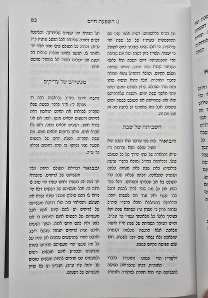 שובי ונחזה - שבת תפילה / רבי משה שפירא זצוק"ל