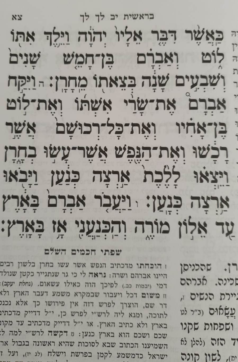 חומש מאור הדרך לתלמידים ה' כרכים / הוצאת המאור