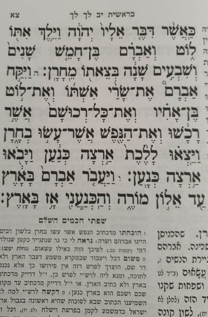 חומש מאור הדרך לתלמידים ה' כרכים / הוצאת המאור