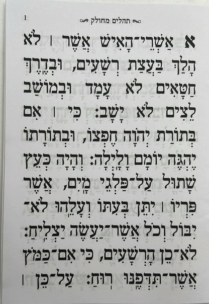 תהילים מחולק עבודת השם בקופסא קשיחה בסגירת מגנט / כח' (28) חוברות