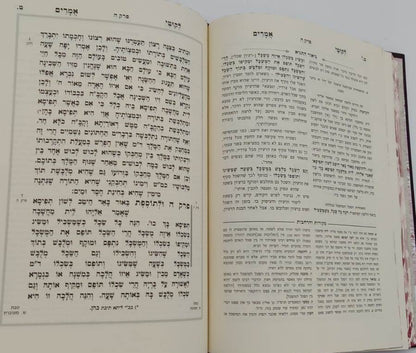 ליקוטי אמרים תניא עם ביאור משולב - חלק ג' (פרקים: יח'-כה') / עוז והדר