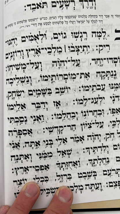 תהילים בינת הלב - כריכת סקאי לבן מסגרת זהב / פורמט בינוני