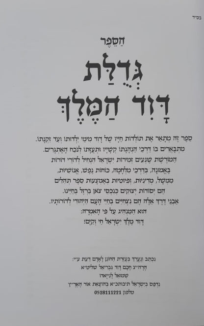 גדולת דוד המלך / הרה"צ דוד גבריאל שליט"א • שמואל לנייאדו
