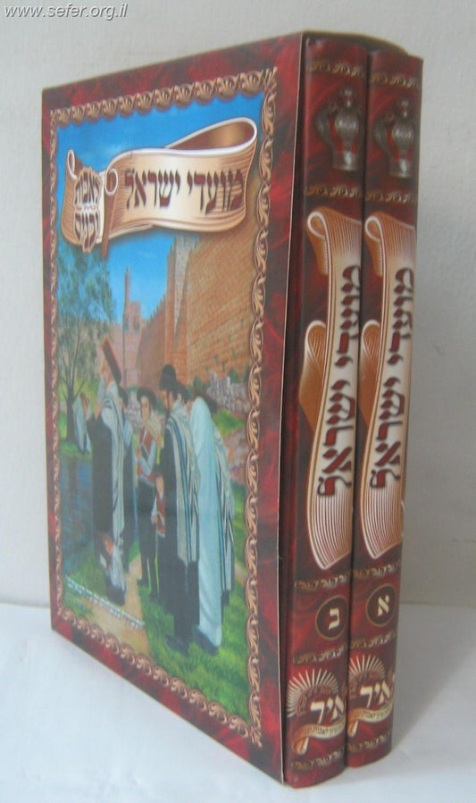 מועדי ישראל - לאבות ובנים ב' כרכים