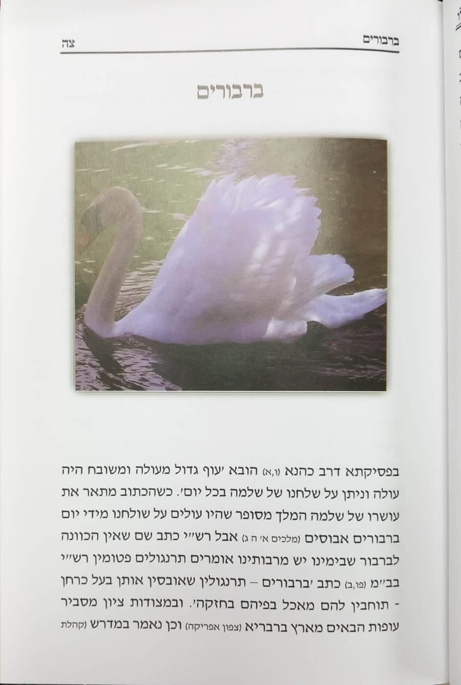 נשמת כל חי - בעלי חיים בדברי חז"ל ראשונים ואחרונים / הרב יחיאל מיכל שטרן