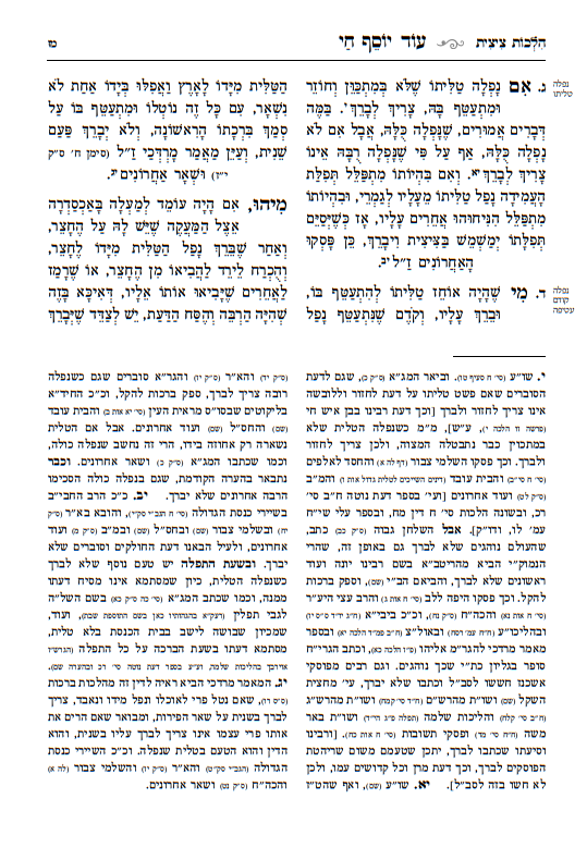 עוד יוסף חי הלכות - מאיר עיניים / עם מקורות וביאורים ושיטות הפוסקים