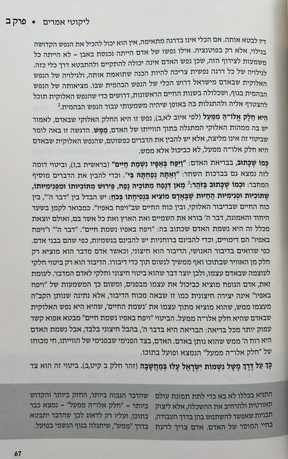 התניא המבואר ה' כרכים - הרב עדין שטיינזלץ / מהדורה מחודשת (הסט השלם)