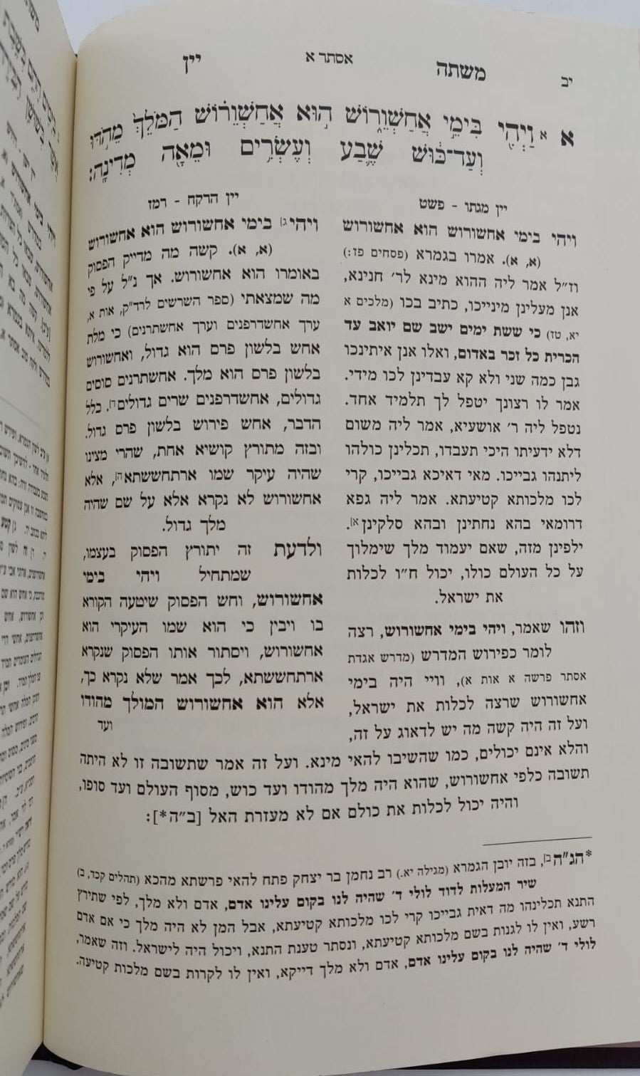 משתה יין - על מגילת אסתר דרך פרד"ס / ספר חידושי גאונים