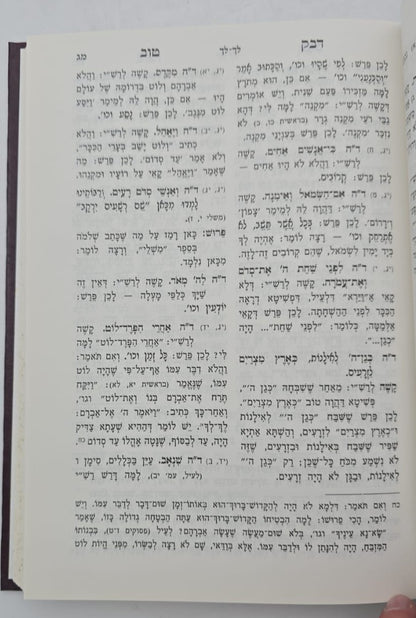 דבק טוב - ביאור על פירוש רש"י / הוצאת מישור