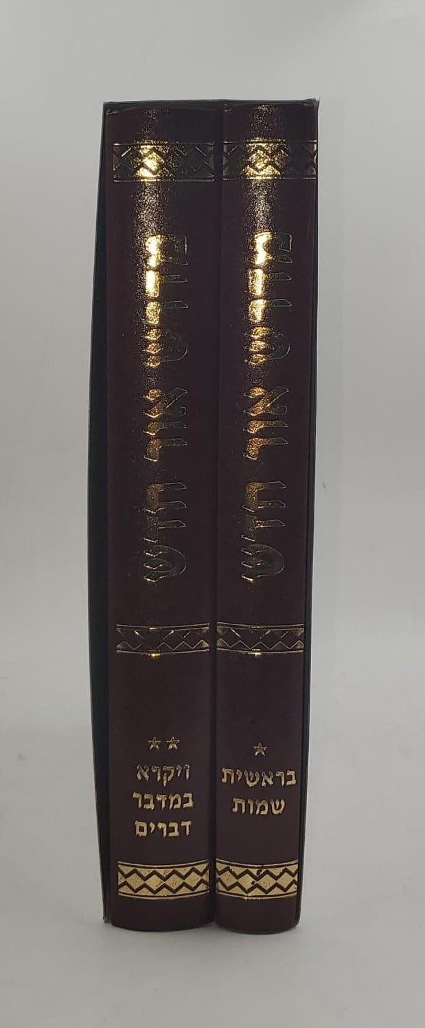 מדרש אור חדש ב' כרכים על פרשיות השבוע / הרב חיים דוייטש זצ"ל