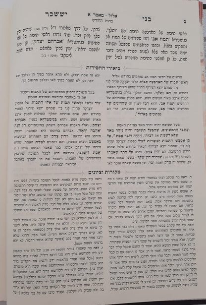 בני יששכר לרבי צבי אלימלך מדינוב זצוק"ל - ביאור משולב / שבתות וראש חודש (כרך א')