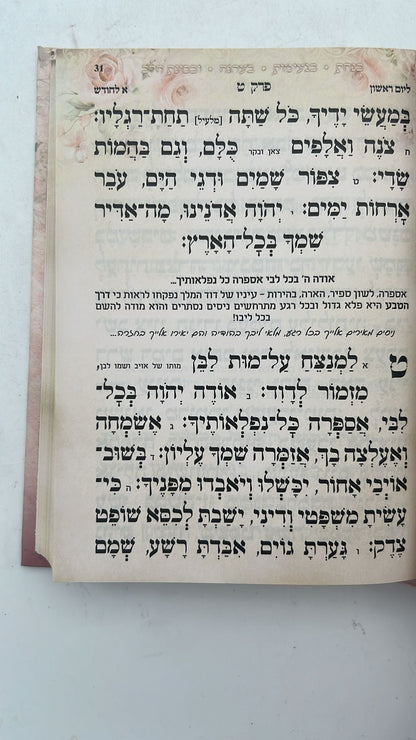 תהילים שירת חיי / הרבנית חגית שירה