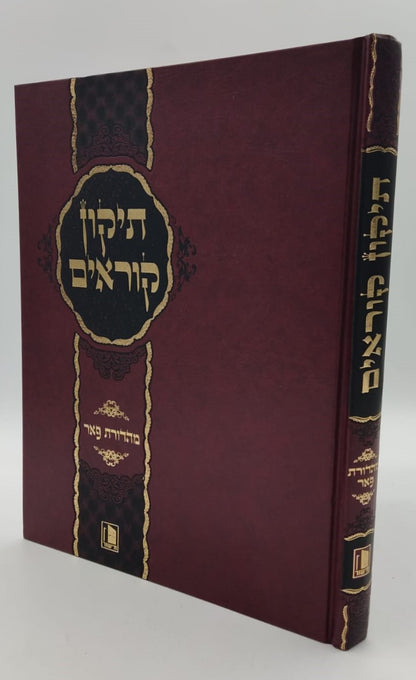 תיקון קוראים - הוצאת מישור / פורמט גדול