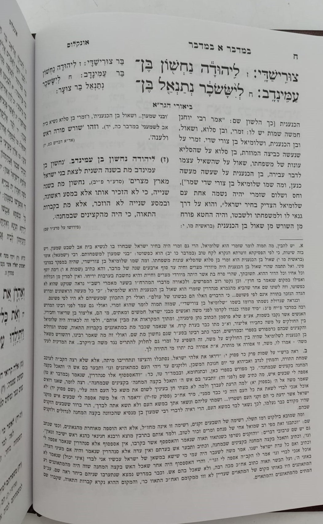 חומש הגר"א - במדבר / מכון מורשת הגר"א