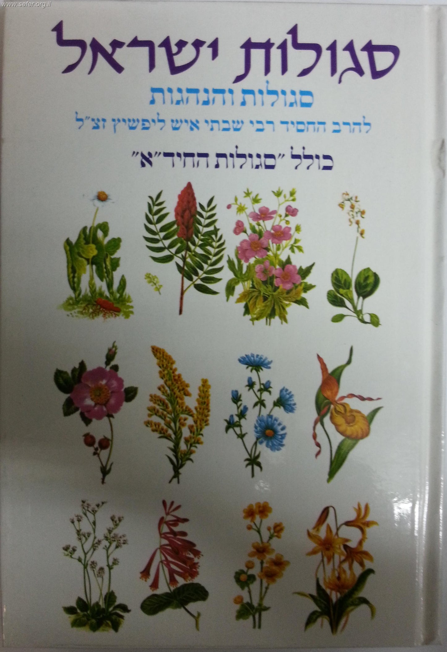 סגולות ישראל/ ר' שבתי איש לפשיץ זצוק"ל