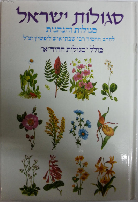 סגולות ישראל/ ר' שבתי איש לפשיץ זצוק"ל