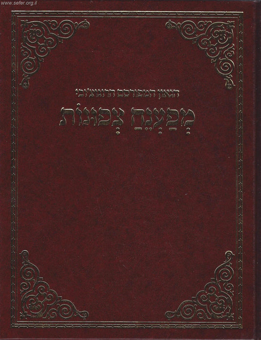 הגאון המפורסם הרוגוצ'ובי - מפענח צפונות