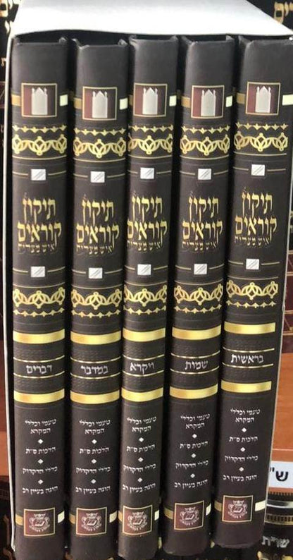 תיקון קוראים איש מצליח פורמט כיס ה' כרכים