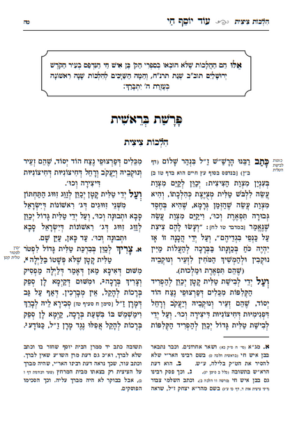 בן איש חי הלכות - עוד יוסף חי הלכות - מאיר עיניים סט ג' כרכים / עם מקורות וביאורים ושיטות הפוסקים