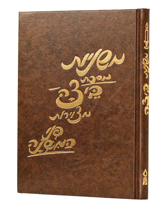 משניות מצויירות - מסכת ביצה / פני המשנה