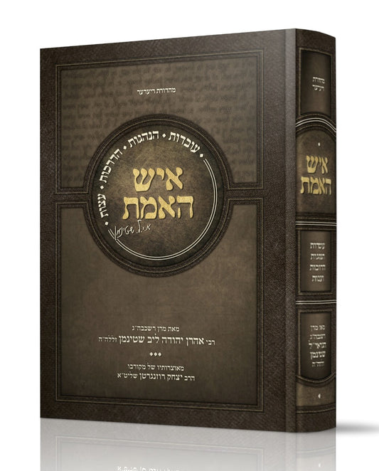 איש האמת / רבי אהרן יהודה לייב שטיינמן זצוק"ל