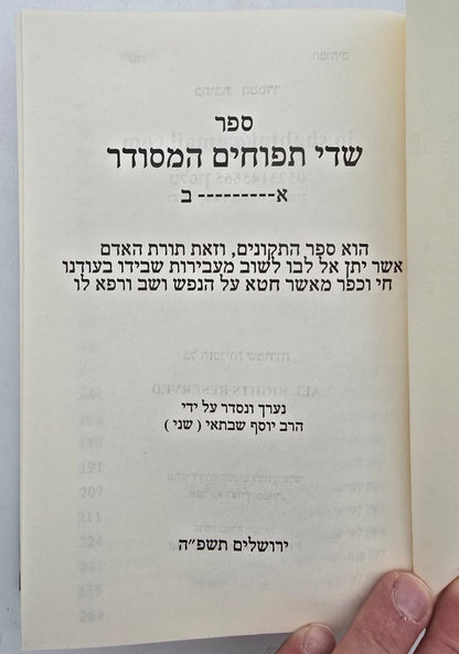 שדי תפוחים המסודר א-ב / תיקונים ותפילות