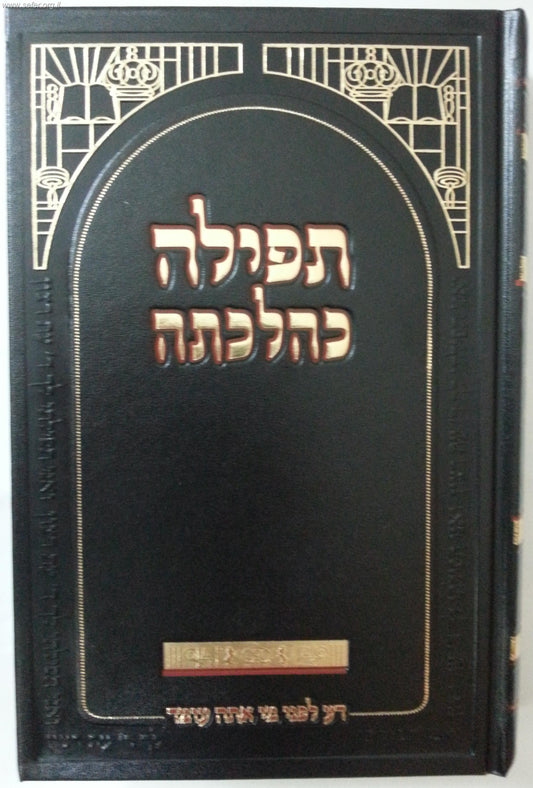 תפילה כהלכתה / הרב פוקס