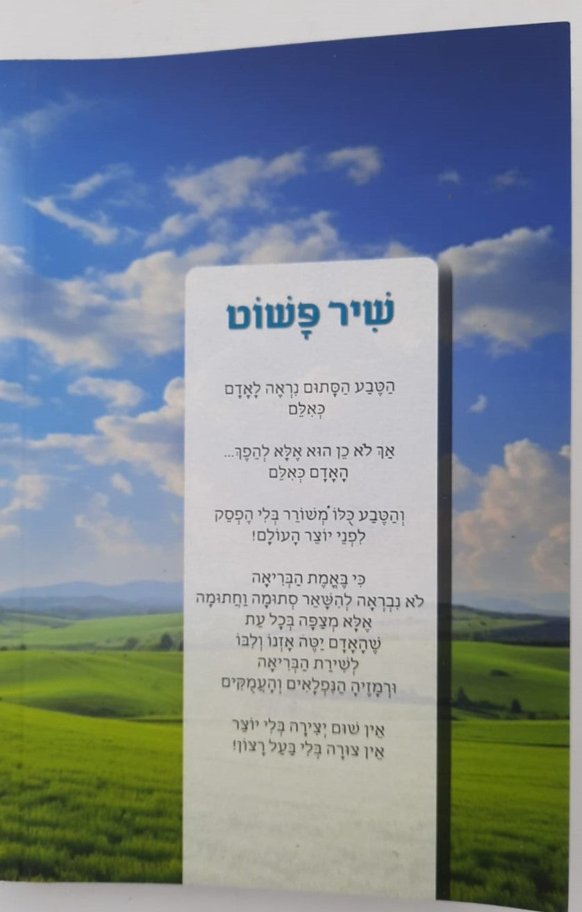 שיר פשוט - פרק שירה / על פי משנת רבי נחמן מברסלב