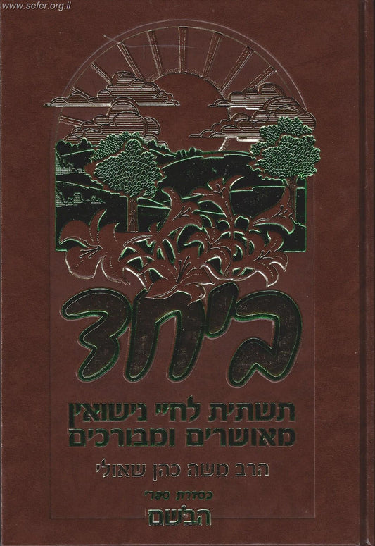 ביחד - תשתית לחיי נישואין מאושרים ומבורכים / הרב משה כהן שאולי