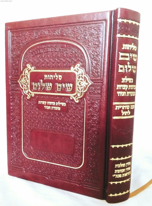 סליחות 'שים שלום' עם שחרית לחול - בשילוב כוונות קצרות מתורת הסוד