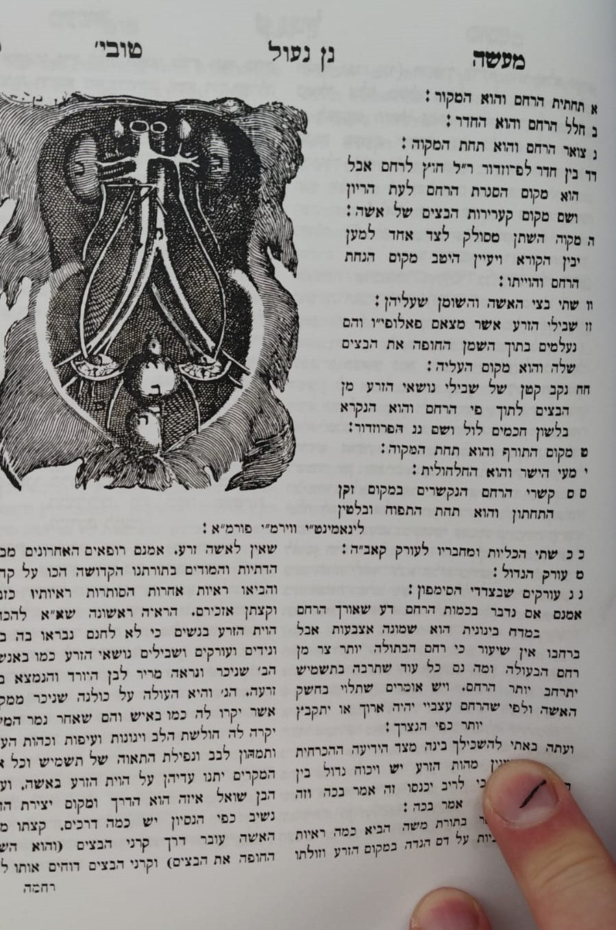 ספר מעשה טוביה / טוביה הרופא