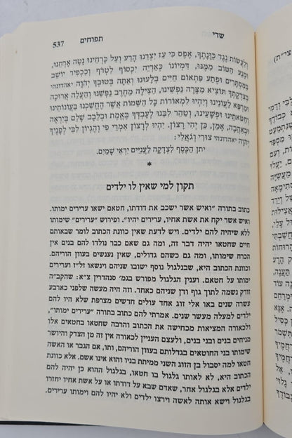 שדי תפוחים המסודר א-ב / תיקונים ותפילות