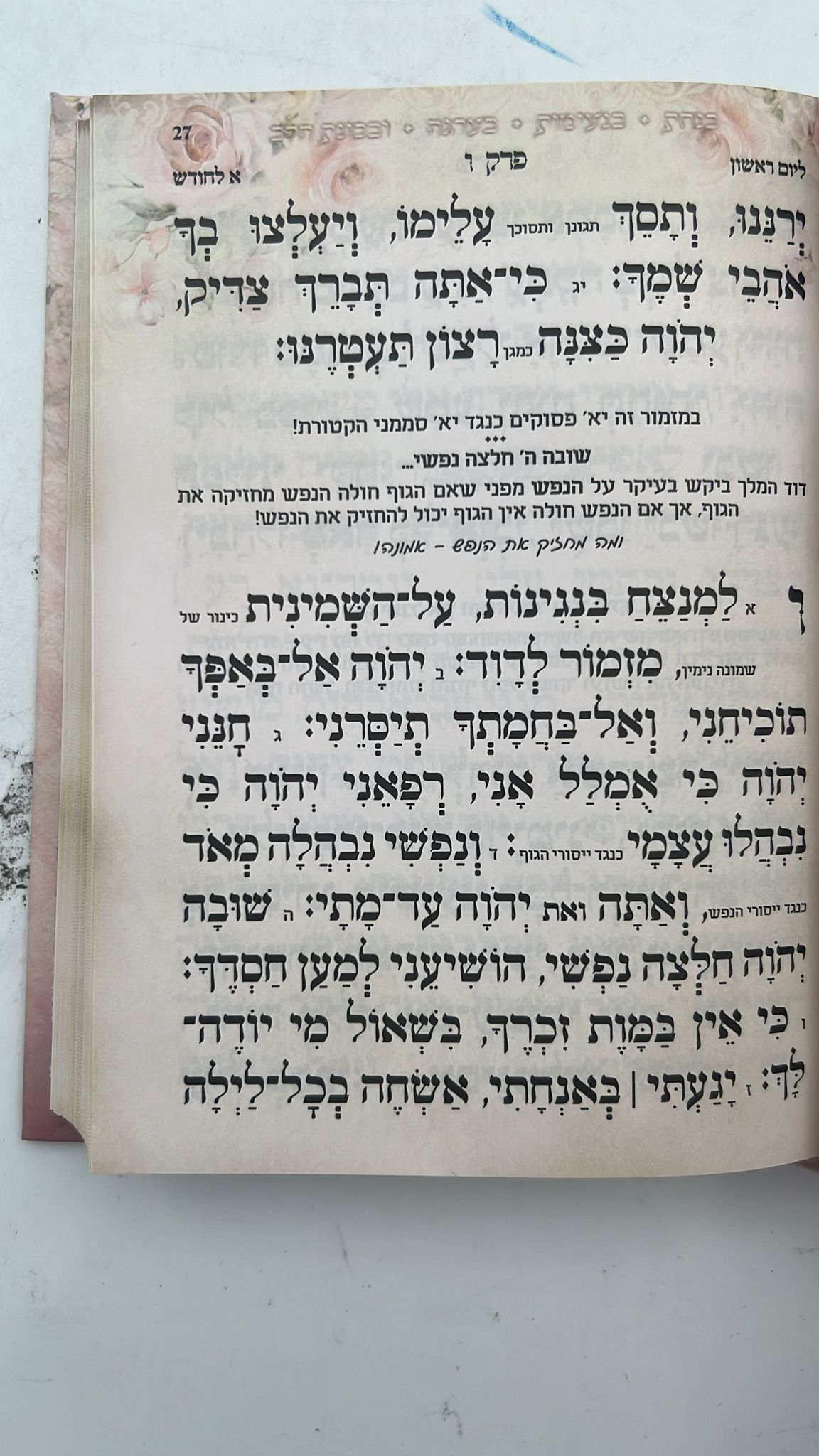 תהילים שירת חיי / הרבנית חגית שירה