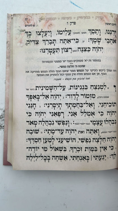 תהילים שירת חיי / הרבנית חגית שירה