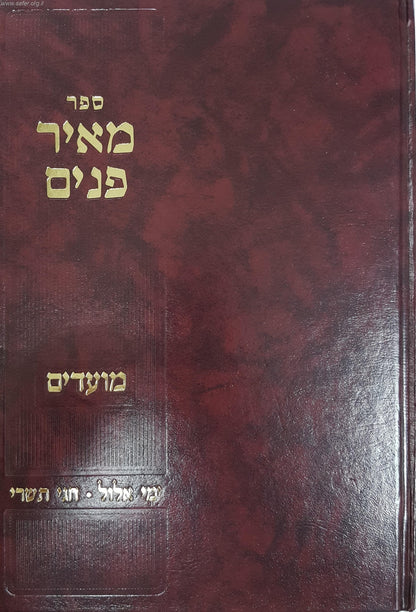 מאיר פנים על המועדים - ימי אלול וחגי תשרי / הרב מאיר גולדויכט