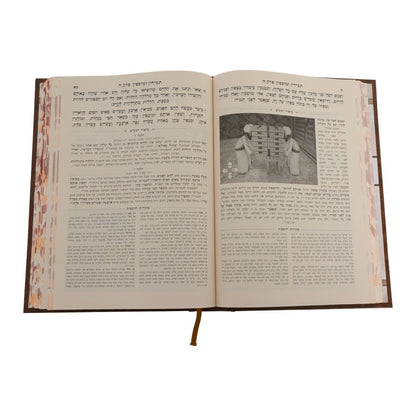 משנה תורה לרמב"ם המבואר עבודה - תמידין ומוספין / עוז והדר