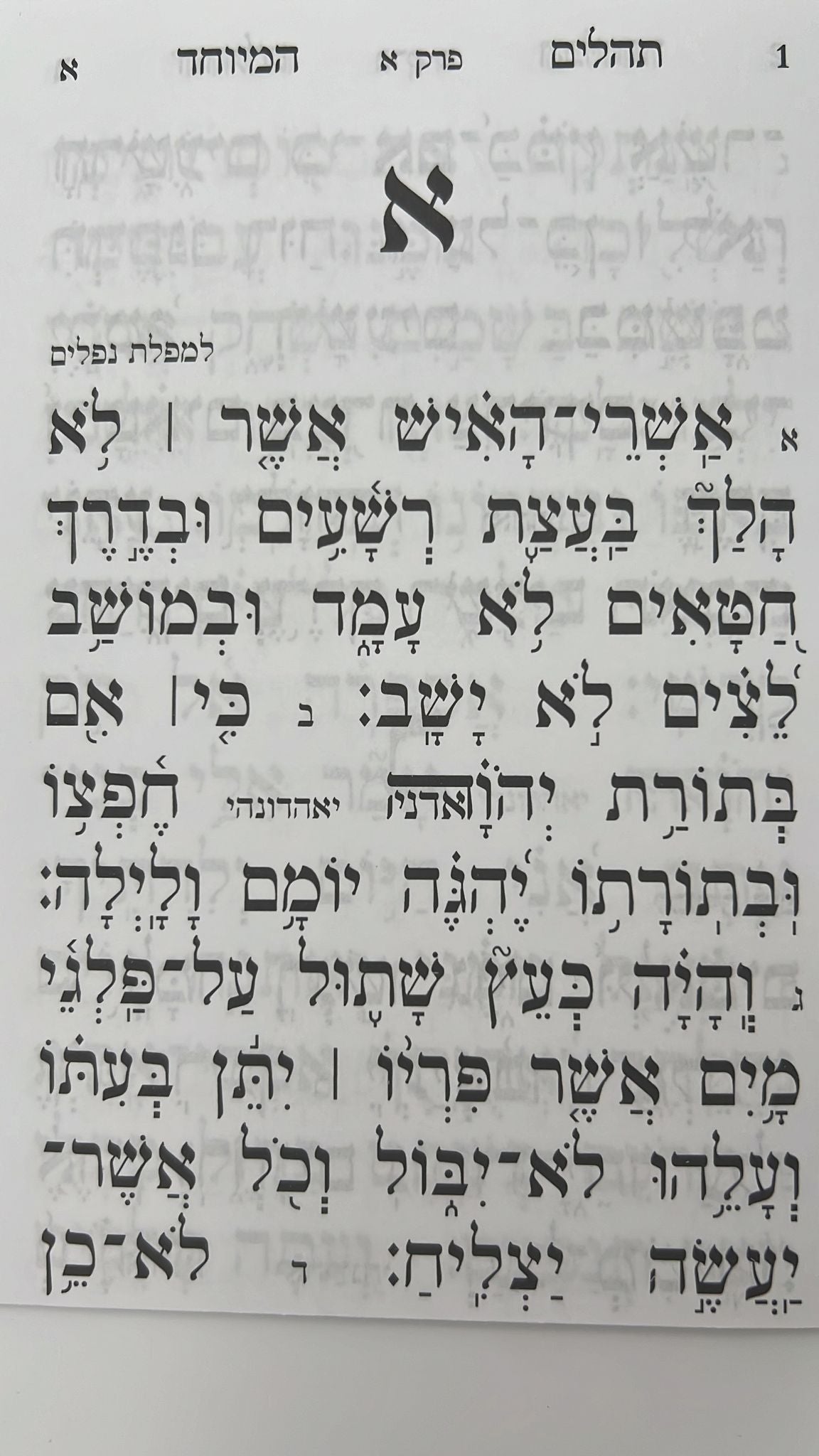 תהילים מחולק אור שרגא כח' חוברות - הוצאת אור השלום