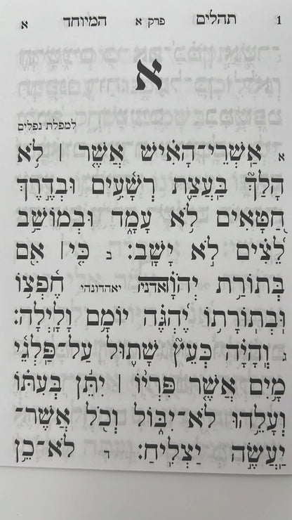 תהילים מחולק אור שרגא כח' חוברות - הוצאת אור השלום