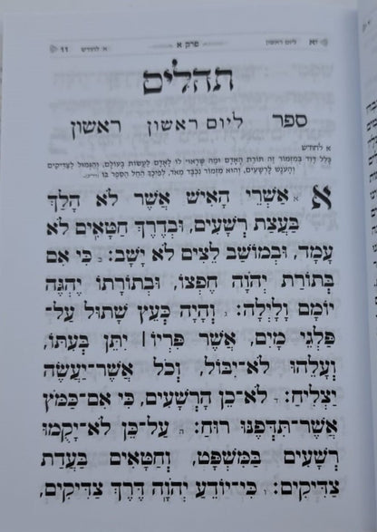 תהילים בינת הלב / פורמט בינוני