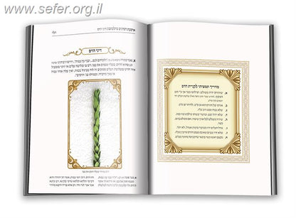 ארבעת המינים כהלכתם