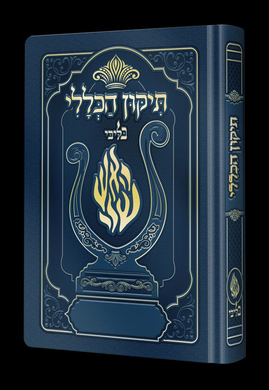 תיקון הכללי המהודר - הנבל עם האש שלי צבע כחול ג'ינס פורמט בינוני / בליבי