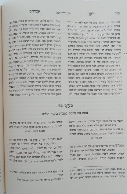 שו"ת ויען אברהם / לגאון רבי אברהם פאלאג'י זיע"א