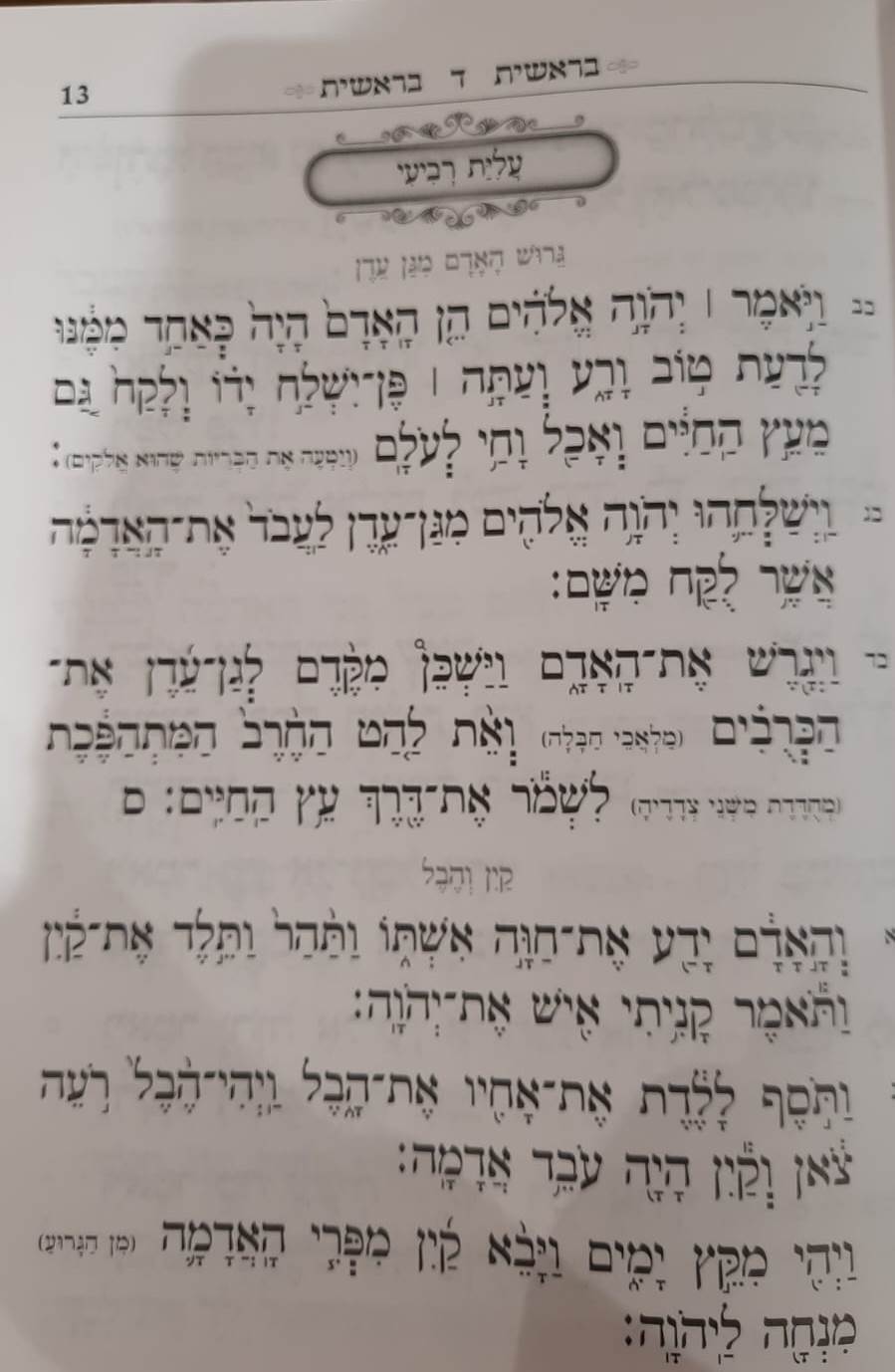 שניים מקרא ואחד תרגום - תורה מאירה ב' כרכים / הרב רונן חזיזה