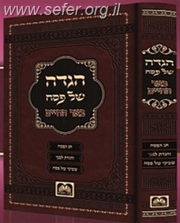 באר החיים - הגדה של פסח / ר' אברהם אלימלך בידרמן