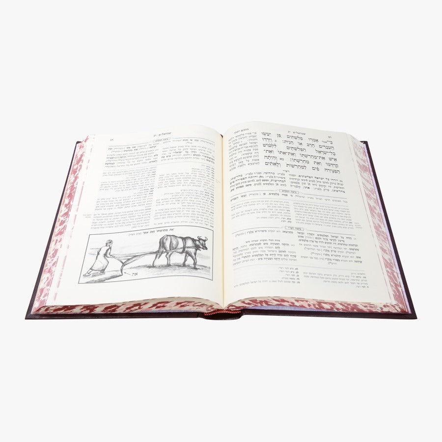 מקרא מפורש על הנ"ך - יהושע / עוז והדר