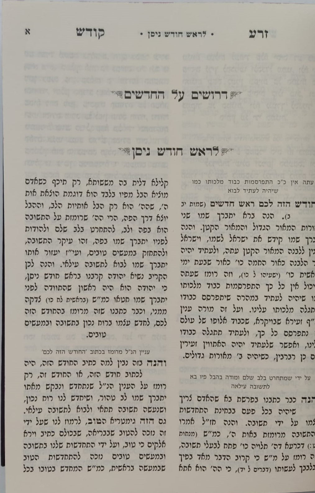 זרע קודש על תורה ומועדים לא מנוקד ב' כרכים לר' נפתלי צבי הורוויץ מראפשיץ זצוק"ל - פורמט קטן (17 ס"מ) / עוז והדר