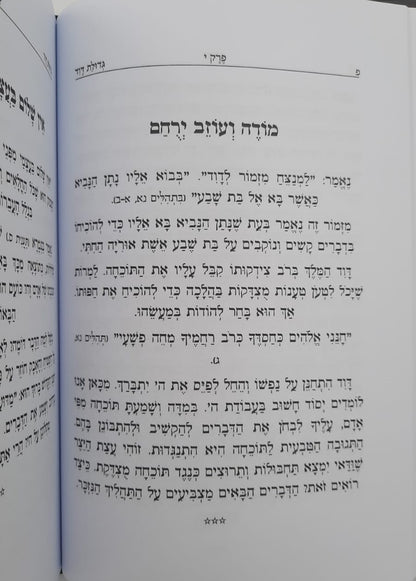 גדולת דוד המלך / הרה"צ דוד גבריאל שליט"א • שמואל לנייאדו