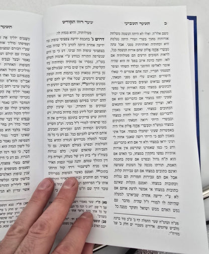 שער רוח הקודש להאר"י ז"ל / וביאור מרכבת יחזקאל